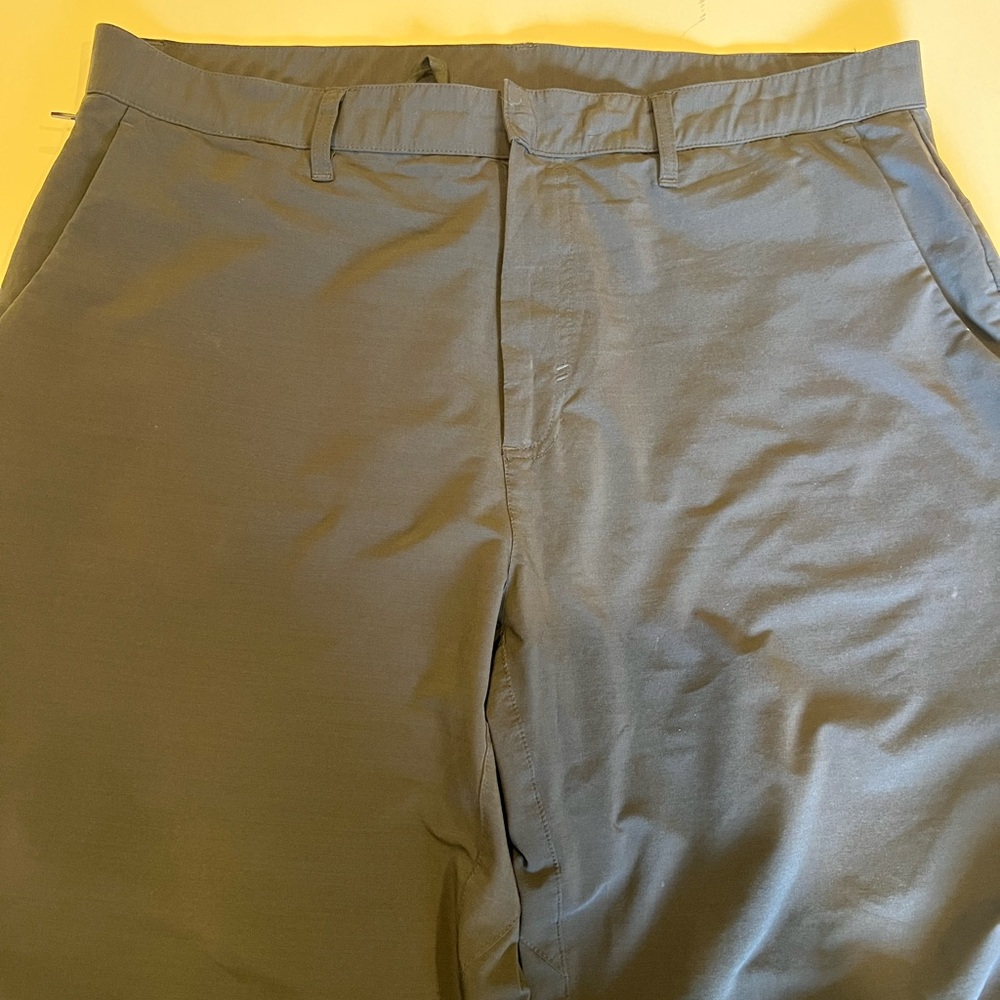 Fabletics men’s The Only Pant 36x30